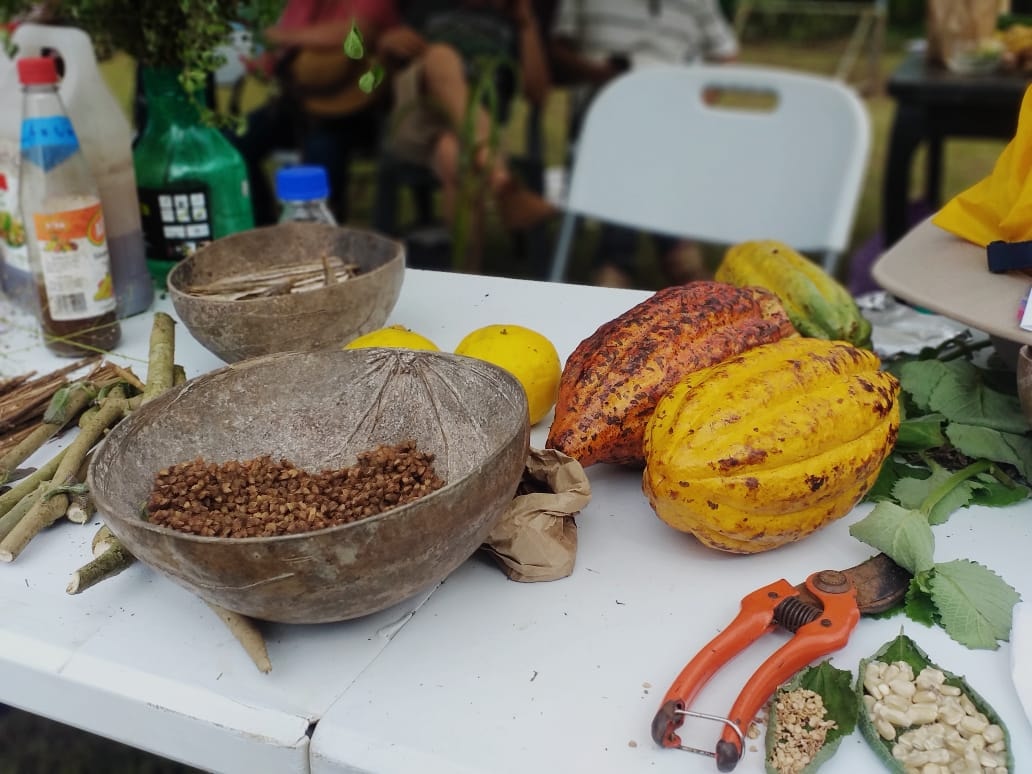 Fundación Corcovado promueve las semillas con identidad en Bahía Drake