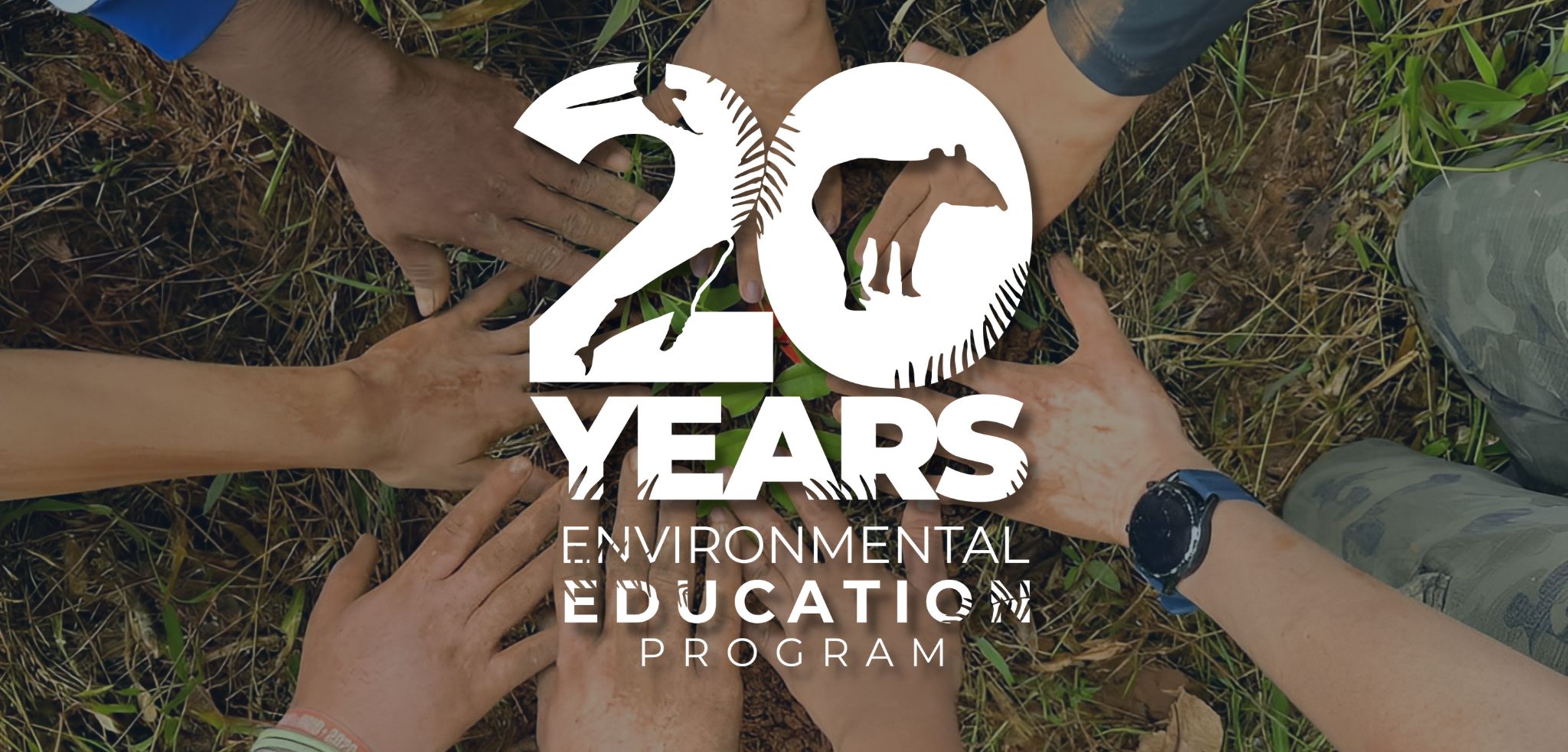 What does 20 years of the Foundation’s impact look like?